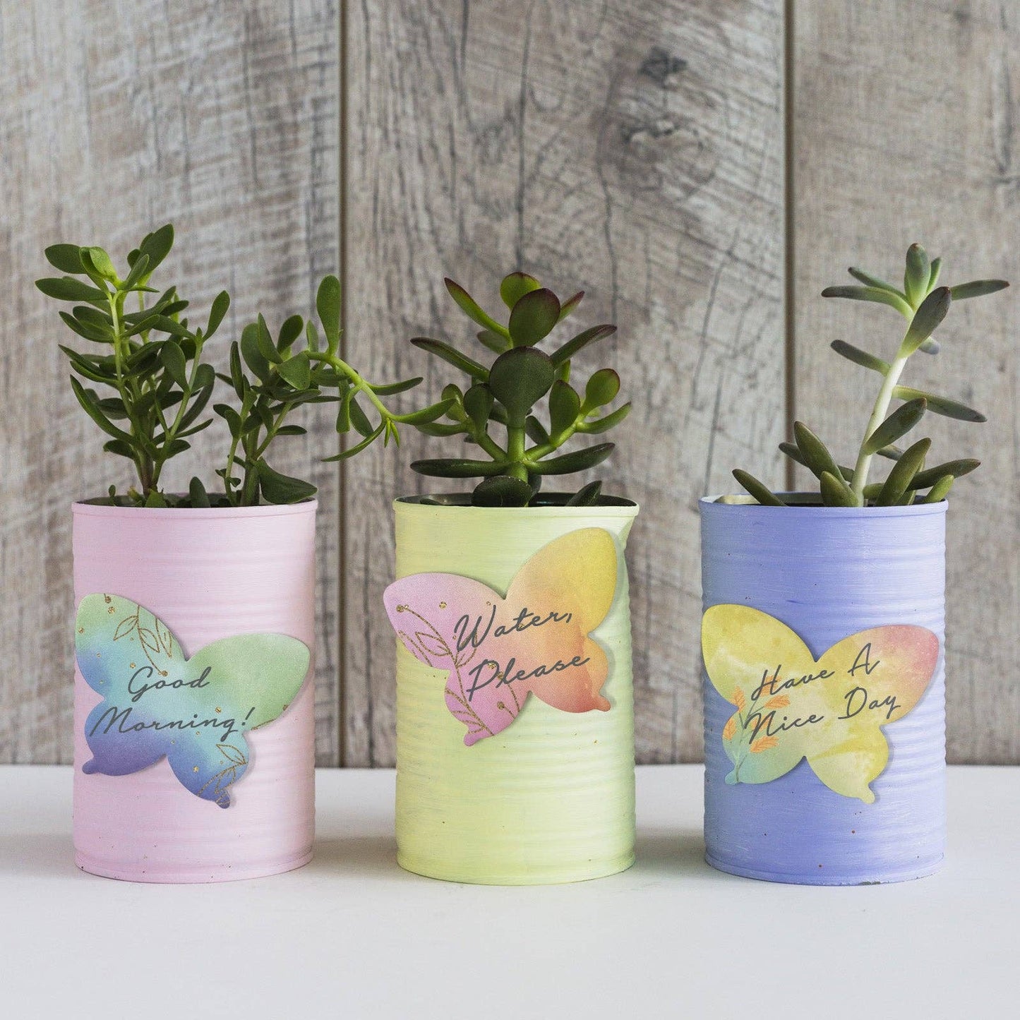 Colorful butterfly Sticky Notes