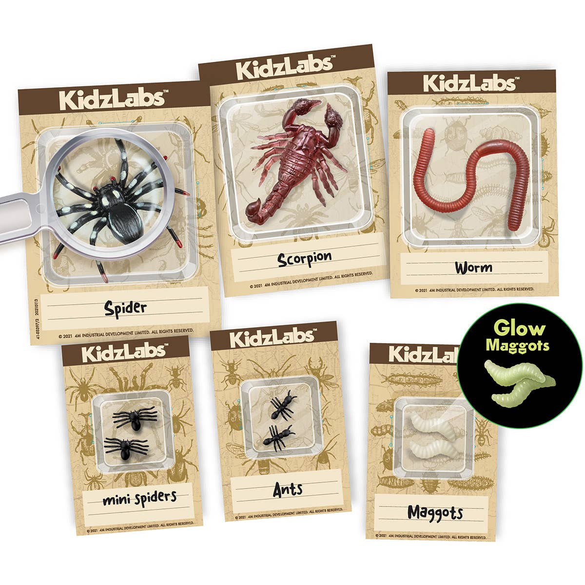 Creepy Crawly Dig Kit Science Kit