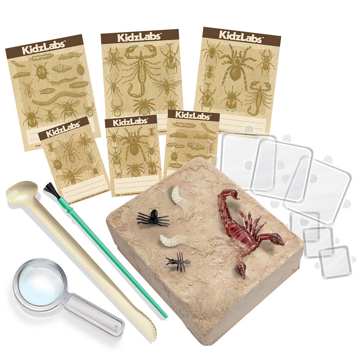 Creepy Crawly Dig Kit Science Kit