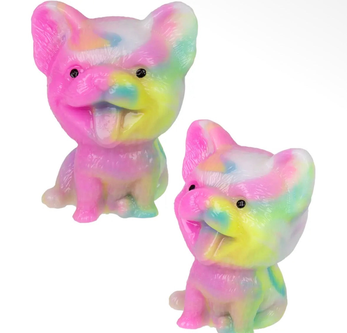 Taba Rainbow Corgi