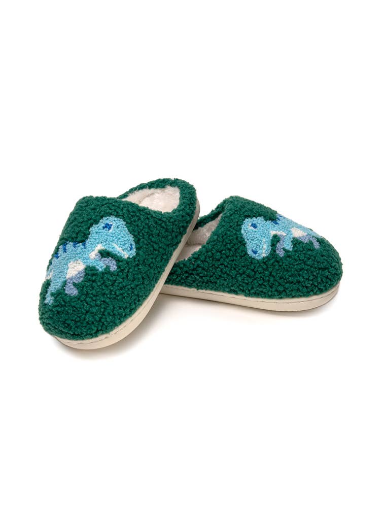 Indoor / Outdoor Slippers Blue Dinosaurs -